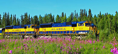Ride the Alaska Railroad.