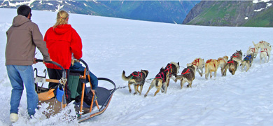 Enjoy exciting activities like a helicopter glacier dog sled tour.