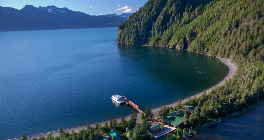 Aerial view of Fox Island.