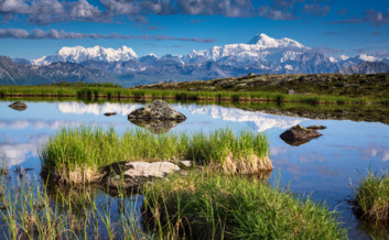 Rewarding Denali views from the top of Kesugi Ridge.