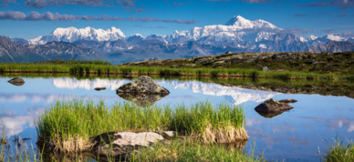 Rewarding Denali views from the top of Kesugi Ridge.