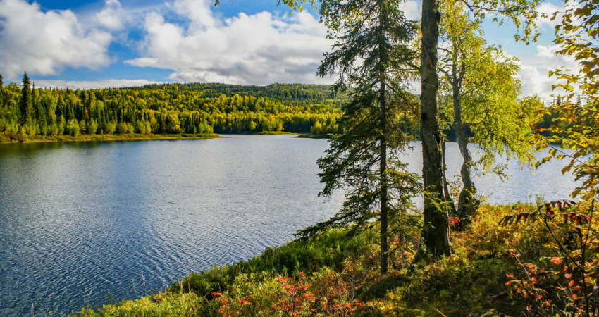 Talkeetna Lakes hike. 