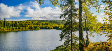 Talkeetna Lakes hike.