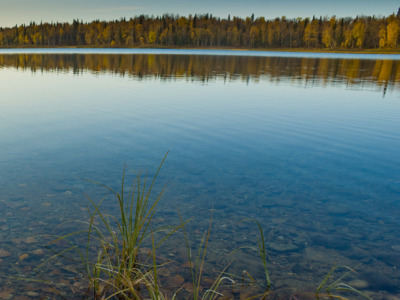 Beautiful reflection on Talkeetna Lakes hike. 