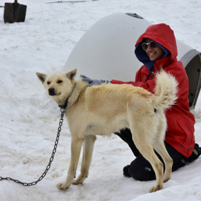 Guests have a chance to visit the huskies.