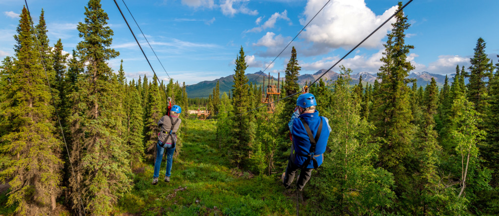 Zipline races are a fun way to end these tours. Zipline races are a fun way to end these tours.