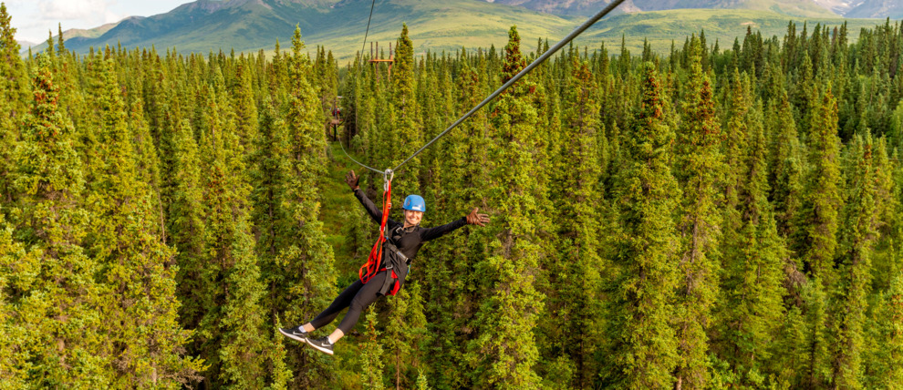 Denali Park Zipline