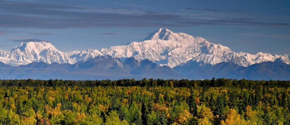 View of the Alaska Range from zipline tour in Talkeetna. 