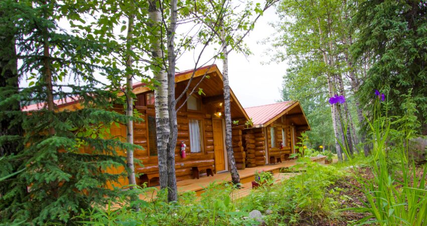 Guest cabins at the Kantishna Roadhouse.