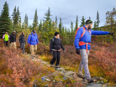 Kantishna area day hike with an experienced guide.