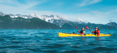 Kayak through Resurrection Bay with an expert guide.