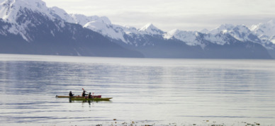 Enjoy an afternoon kayak trip in Resurrection Bay.