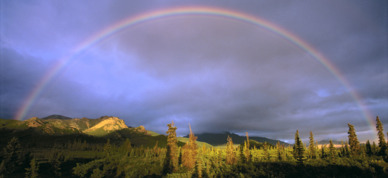 Full rainbow in Denali National Park.
