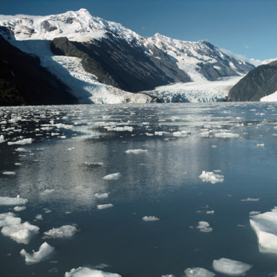 Cascade and Barry Glaciers in Prince William Sound.