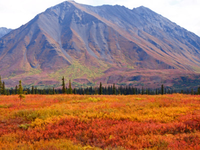 Fall colors in Broad Pass seen from aboard the Alaska Railroad.