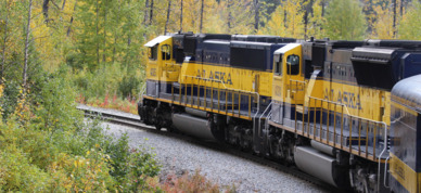 Fall colors make perfect backdrop for the bold colors of the Alaska Railroad.