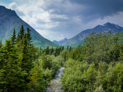 Landscape seen from the Alaska Railroad near Denali National Park.