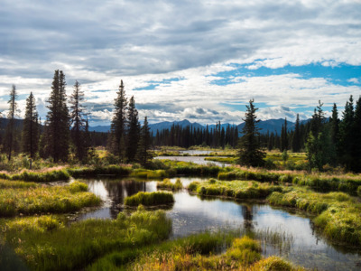 Shot taken on the train from Talkeetna to Hurricane.