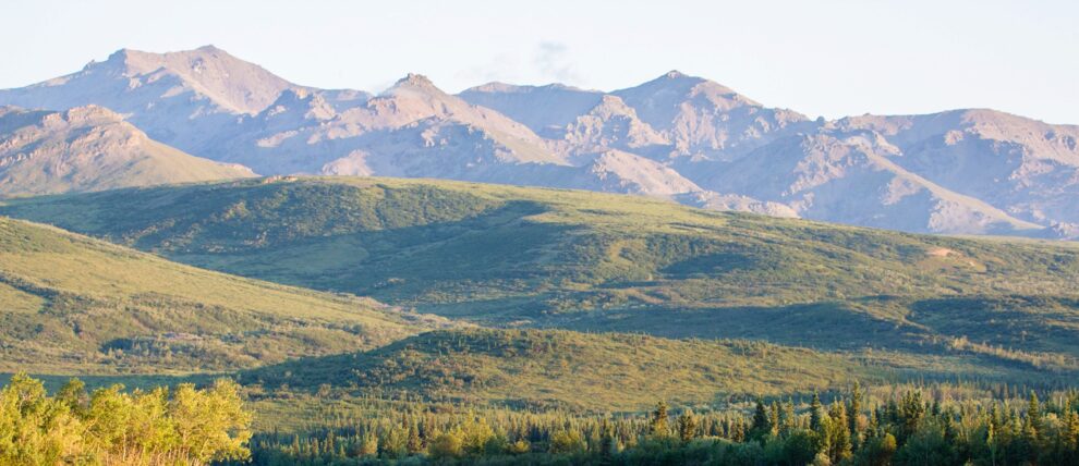 Canoe on Otto Lake near Healy Alaska.