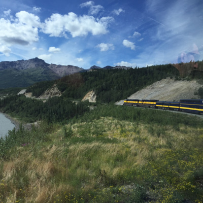Beautiful backdrop for the majestic Alaska Railroad train on its way to Denali.