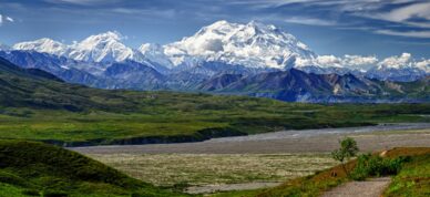 Lush green day in Denali National Park.