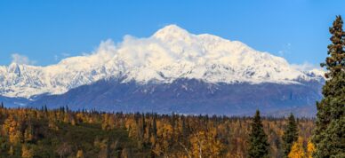 Panoramic view of Denali Parks Highway.