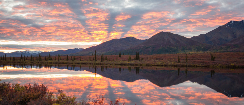 Peak fall colors and a vibrant sunset on Broad Pass near Denali Park.