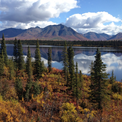Fall colors aboard the Alaska Railroad in route to Denali National Park.