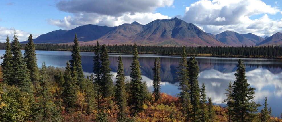 Fall colors aboard the Alaska Railroad in route to Denali National Park. Fall colors aboard the Alaska Railroad in route to Denali National Park.