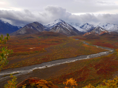 Vibrant fall colors in Denali National Park. Vibrant fall colors in Denali National Park.
