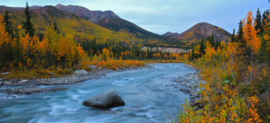 Fall colors at Riley Creek capture the beauty of Denali National Park.
