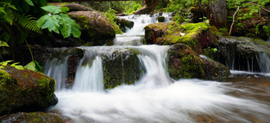 Flowing waters near Anchorage, Alaska.