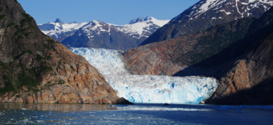 Day cruise through Glacier Bay National Park.
