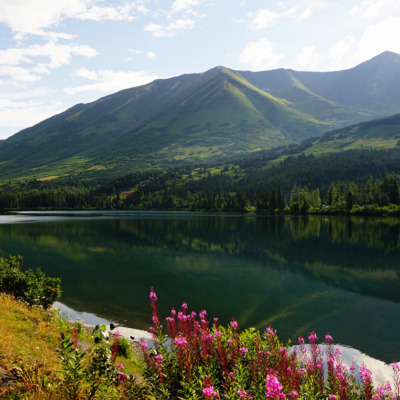 Picturesque lake in Chugach National Forest along the Seward Highway.