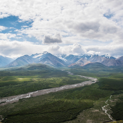 Denali Tundra Wilderness Tour | AlaskaTravel.com