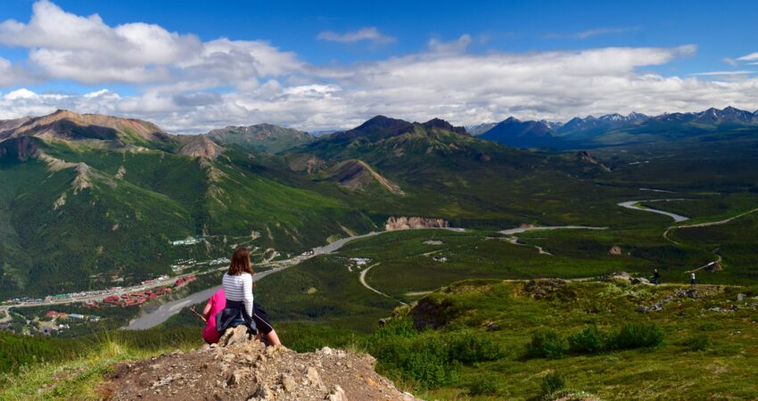 Mt. Healy overlook in Denali National Park.