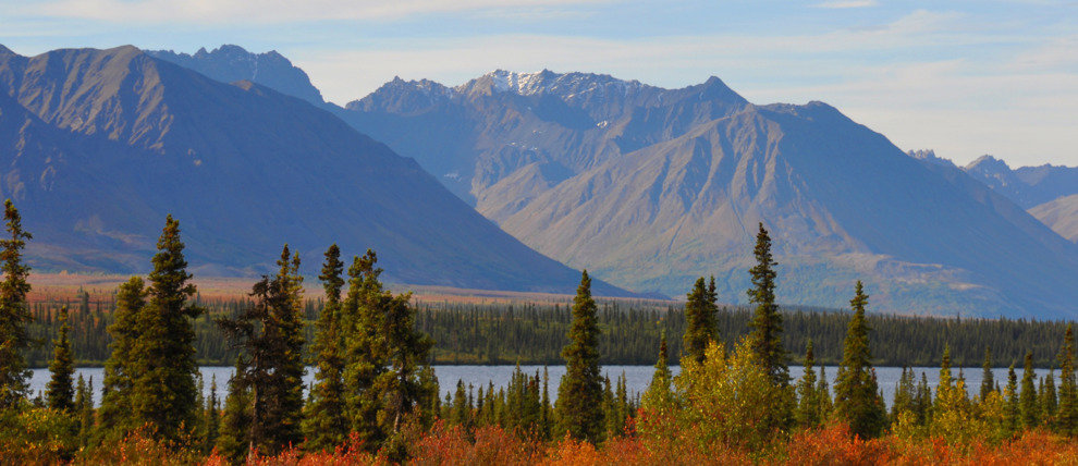 Along the George Parks Highway looking south to Denali State Park.