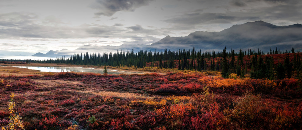 Looking east from George Parks Highway outside Fairbanks, Alaska.