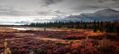 Looking east from George Parks Highway outside Fairbanks, Alaska.