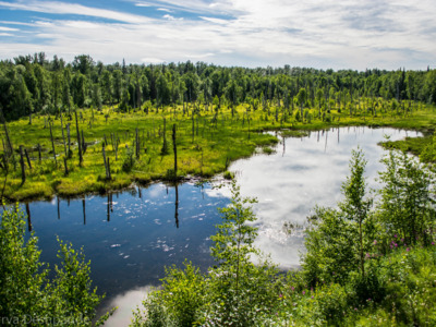Reflection of the bright blue sky in a glacial pond taken along the rail journey from Denali to Anchorage.