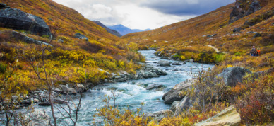 Shot taken along the Savage River trail in Denali National Park.