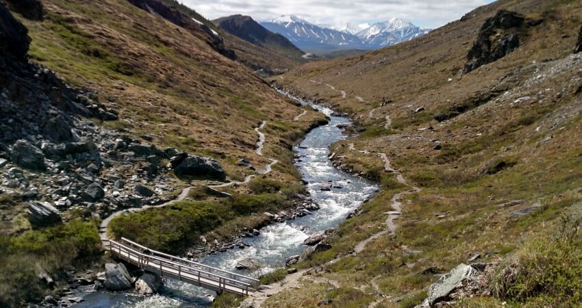 Clear day along the Savage River walk in Denali National Park.