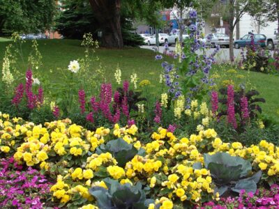 Stay in a popular Anchorage hotel a short walk from colorful downtown and the train depot.