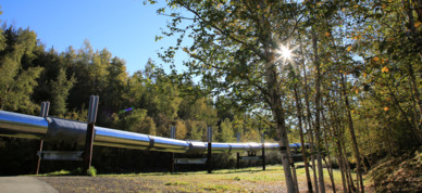 Trans-Alaska Pipeline as seen from Fairbanks, Alaska.