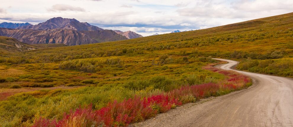 denali tours from whittier