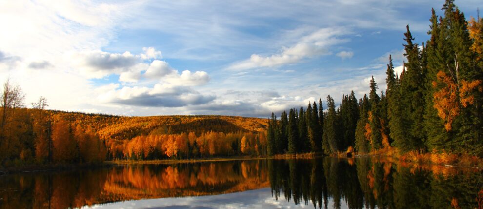 Vibrant fall colors reflect on a lake in Denali National Park.