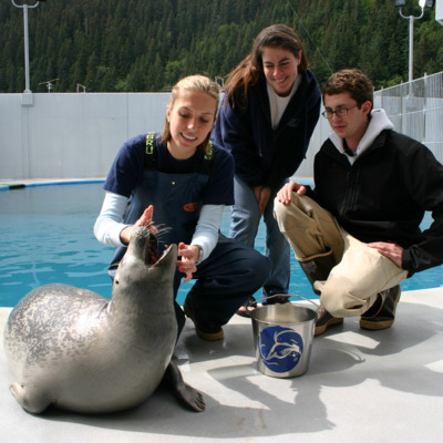SeaLife Center guests interacting with a resident harbor seal.