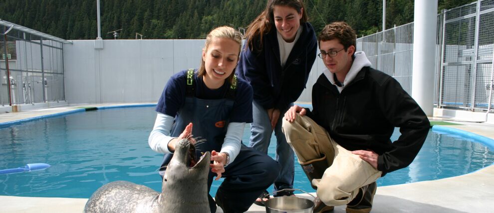 SeaLife Center guests interacting with a resident harbor seal. SeaLife Center guests interacting with a resident harbor seal.