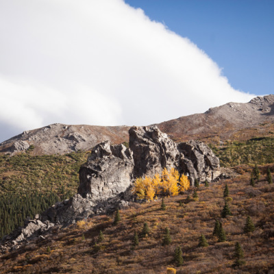 Sunny day near Savage River in Denali National Park