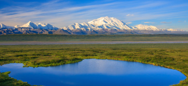Scenic view of Denali.